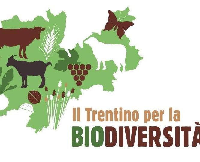 Festival della Biodiversità