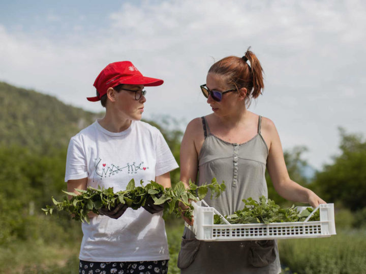 Il DES Agricoltura Sociale